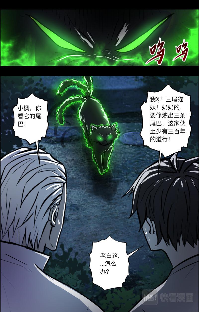 第107话 三尾猫妖-第109话