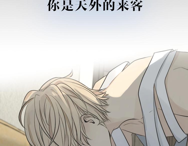 新连载 太阳的树-第35话