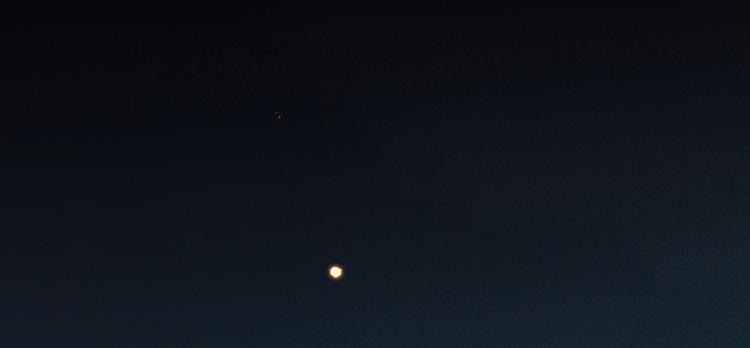 第28话 花将军！掉裤子！(1/2)-第29话