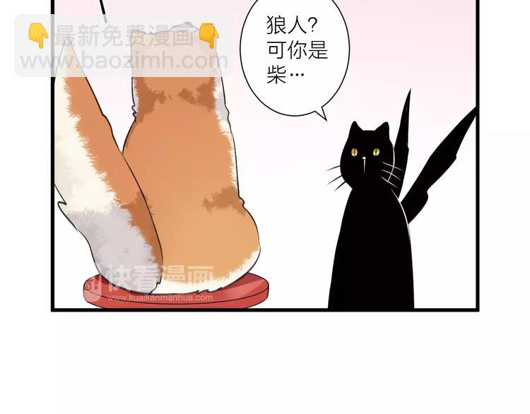 第12话 万人迷的烦恼(1/2)-第13话