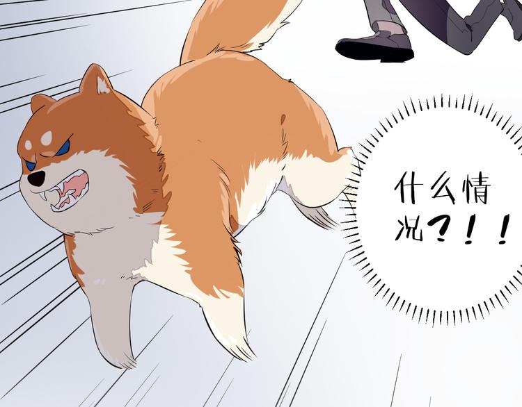 第25话 爱犬男孩(1/2)-第29话