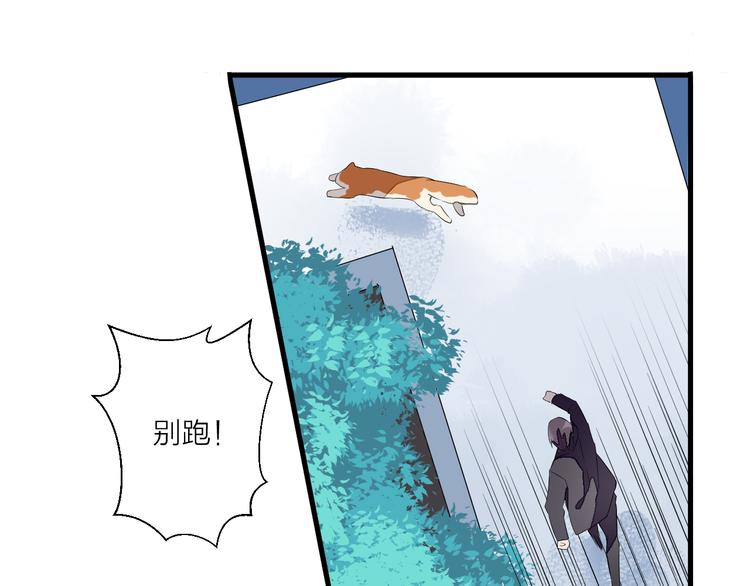 第25话 爱犬男孩(1/2)-第29话