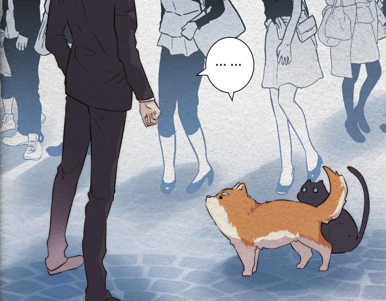 第37话 相遇(1/2)-第41话