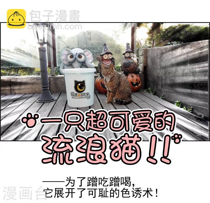 純情陸少 - 第35話 他又雙叒叕來了！(2/2) - 2