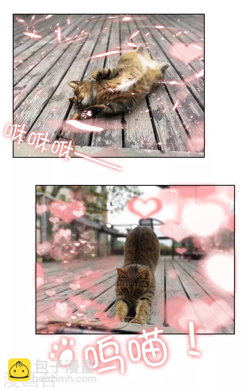 純情陸少 - 第35話 他又雙叒叕來了！(2/2) - 3