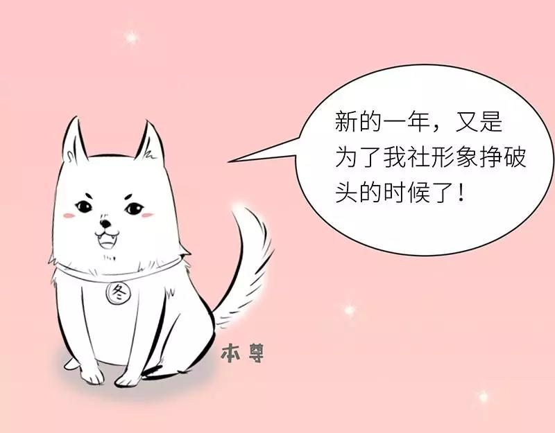 純情丫頭休想逃 - 第162話 再見不到你我就要瘋了 - 4