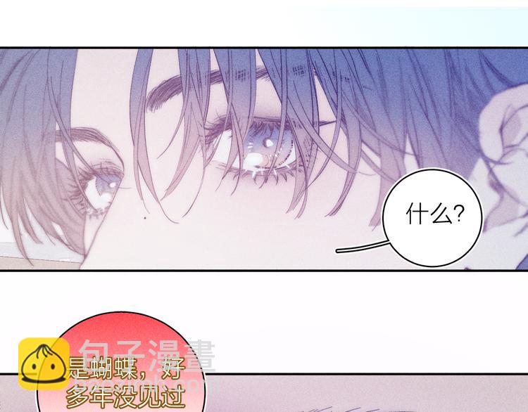 第13话 蝴蝶(1/2)-第15话