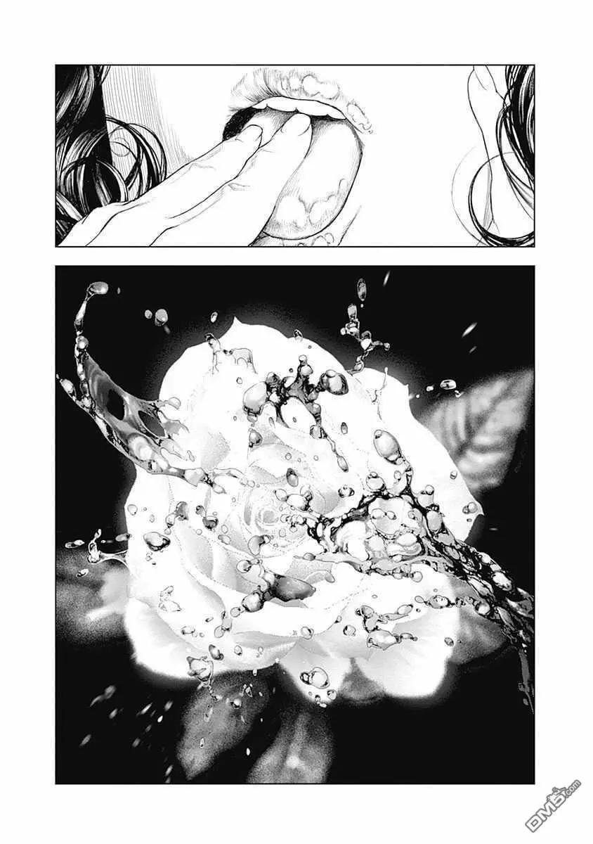 純真之人innocent - 第66話 某位侯爵夫人的起訴 - 1