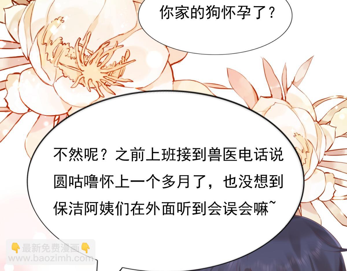 此情渺渺，終於寵到你 - 第12話 始亂終棄的渣男(1/2) - 5