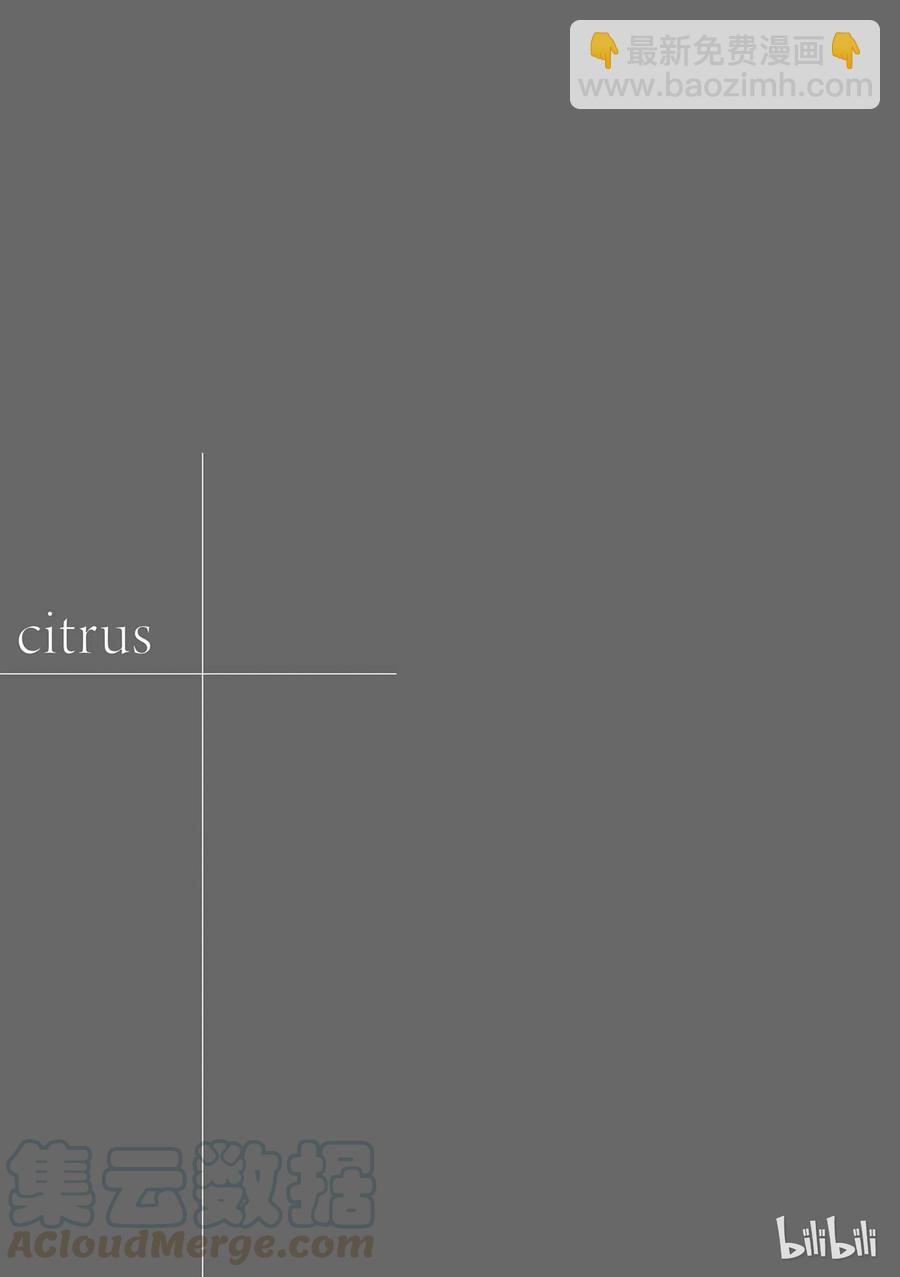 citrus 柑橘味香氣 - 11 - 2