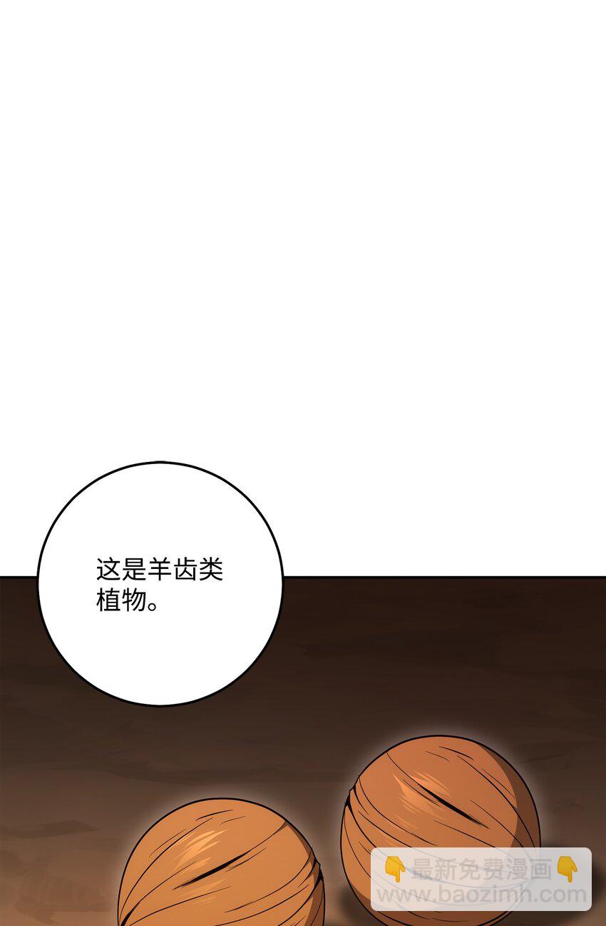 從1級開始的異世界騎士 - 191 熔岩地帶(2/3) - 5