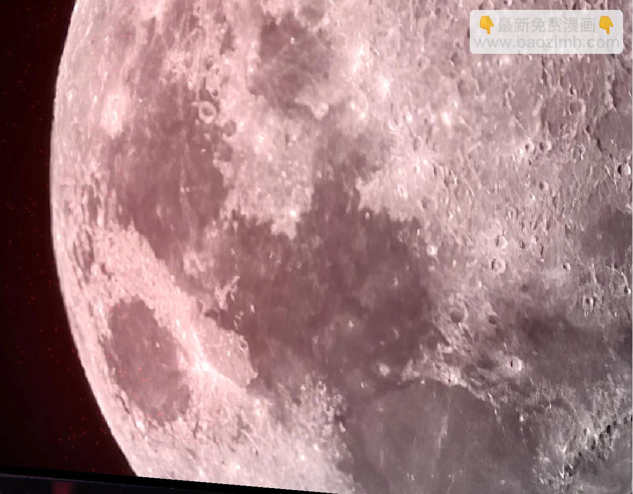 從大樹開始的進化 - 第282話 不死血鴉(1/3) - 7