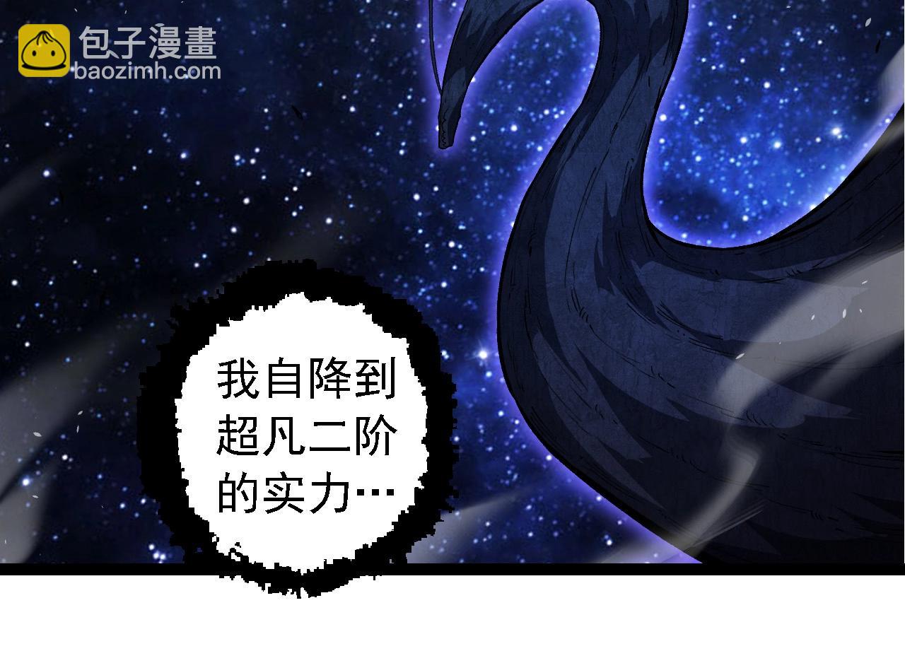 從大樹開始的進化 - 第284話 德魯伊(1/3) - 4