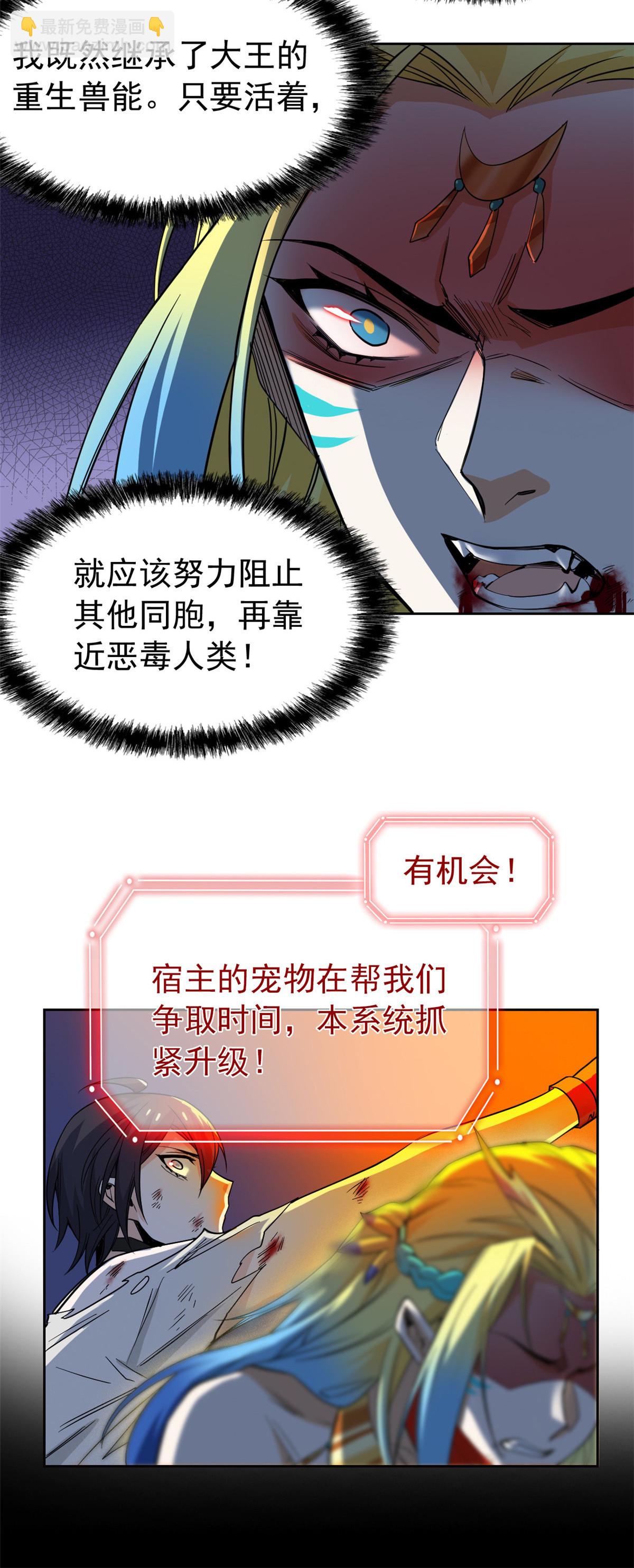 26.jpg