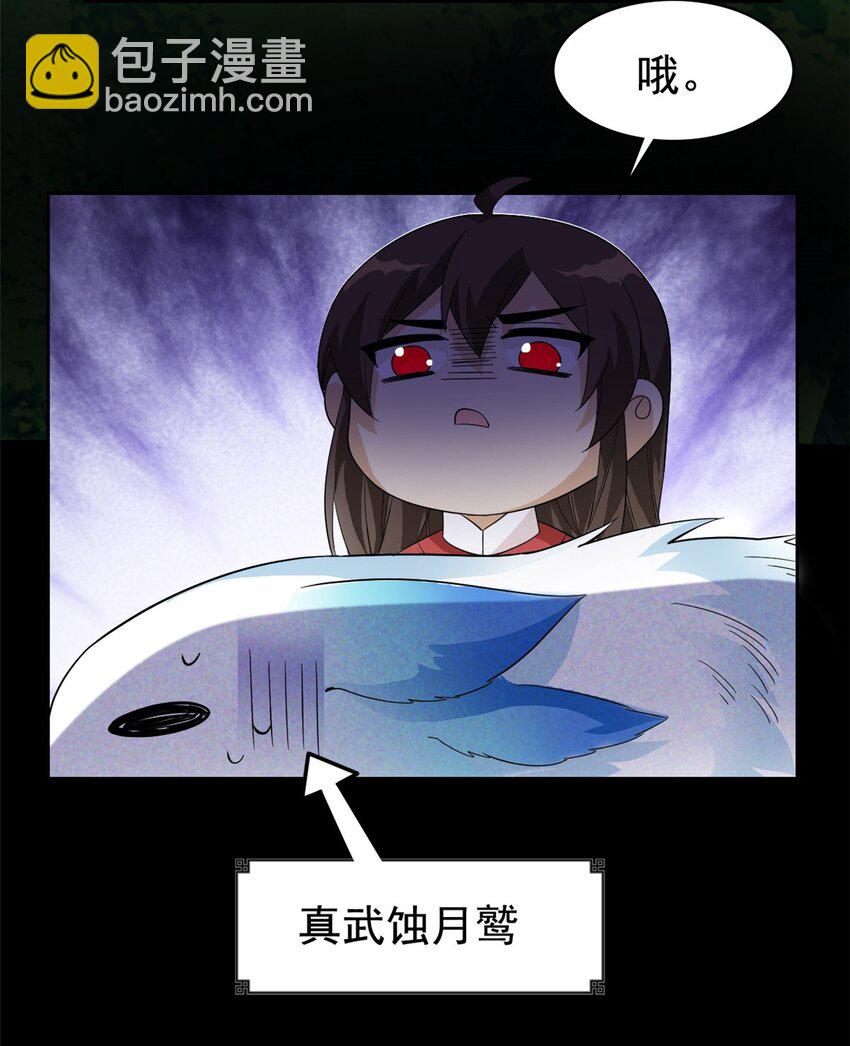 43.jpg