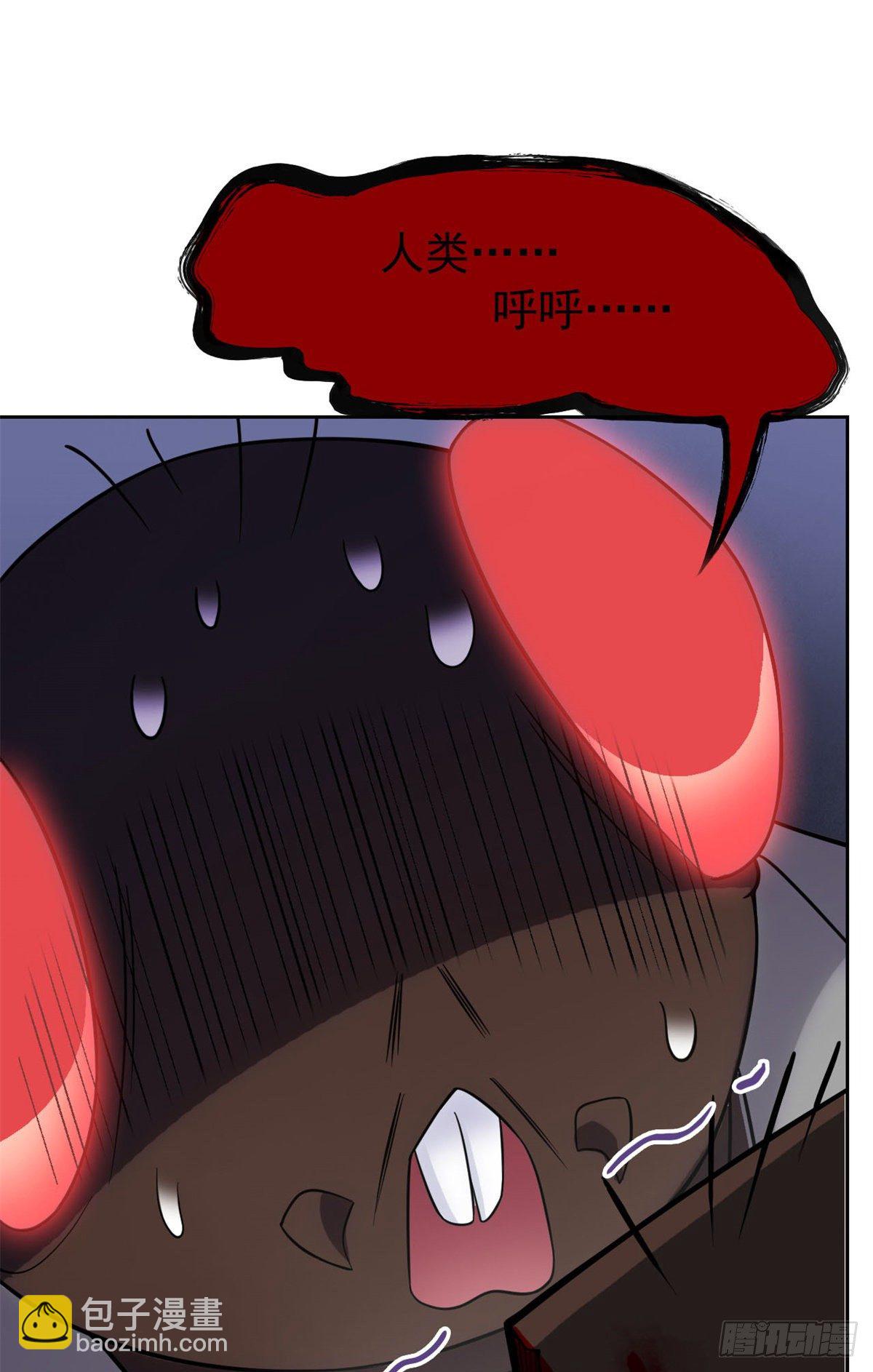 41.jpg