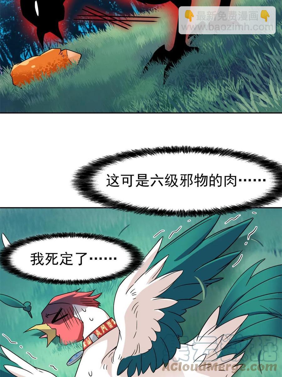31.jpg