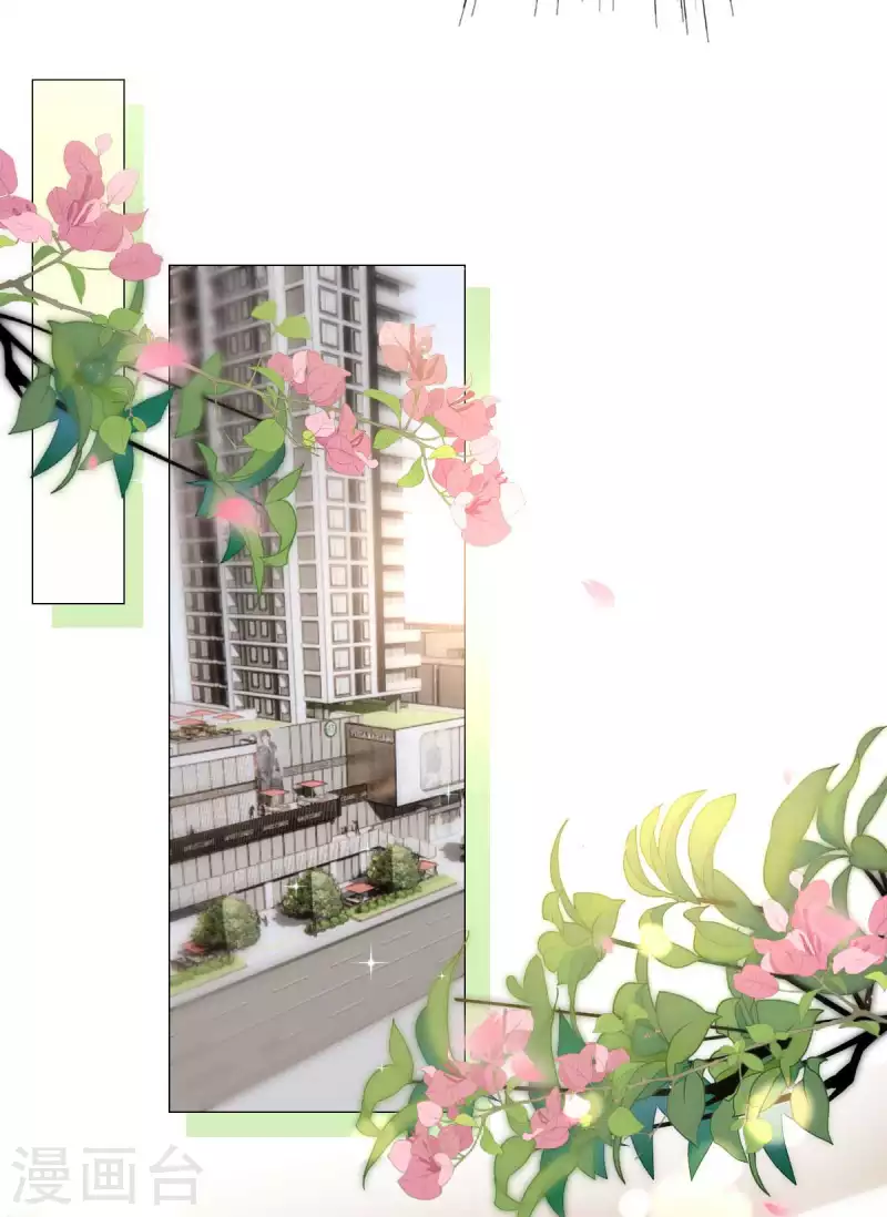 第16话 你是我的王牌-第17话