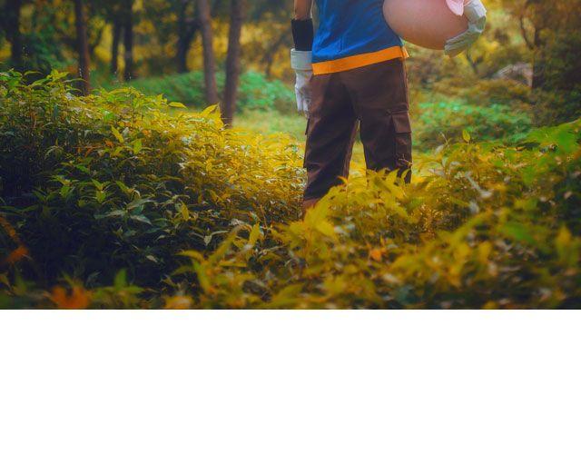 数码宝贝(1/3)-第9话