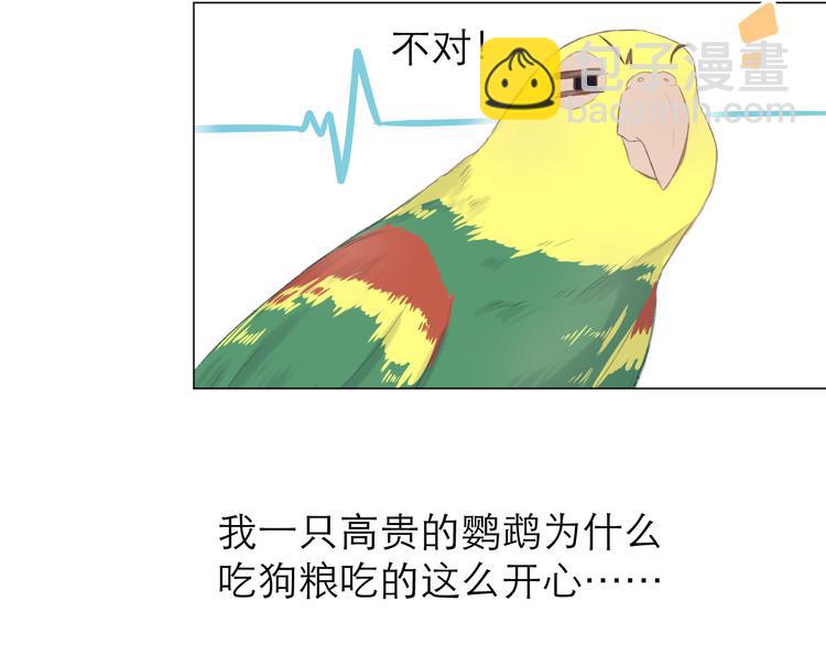 第8话 开窍(1/2)-第9话