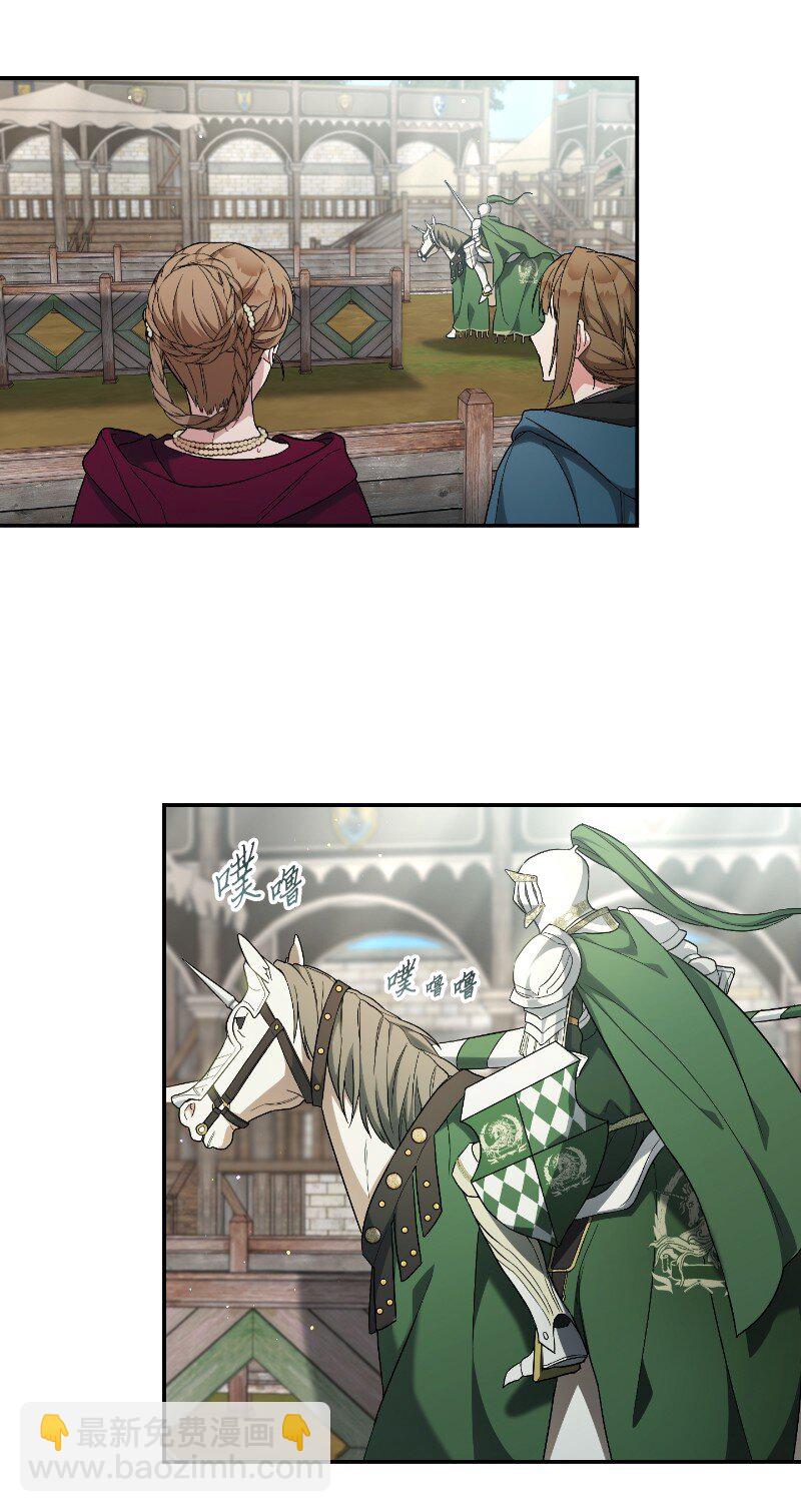 39 骑士的玫瑰(1/3)-第41话