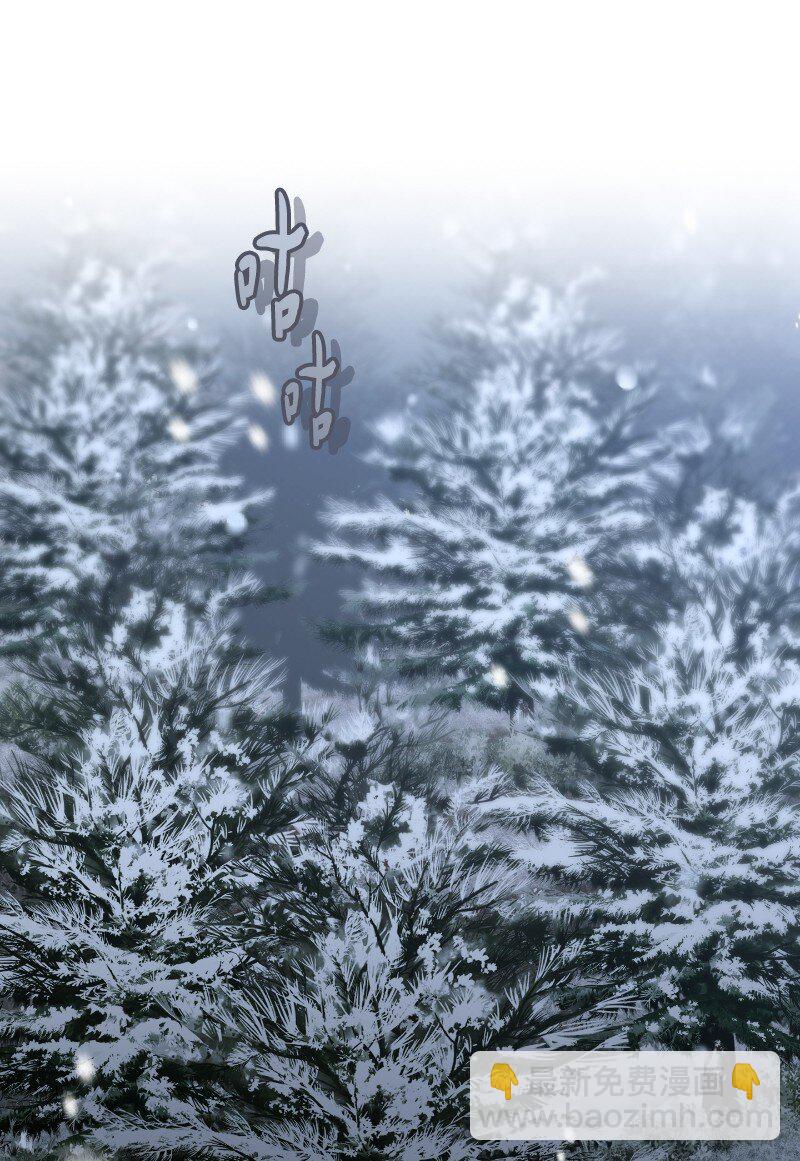 77 消失的头盔(1/2)-第79话