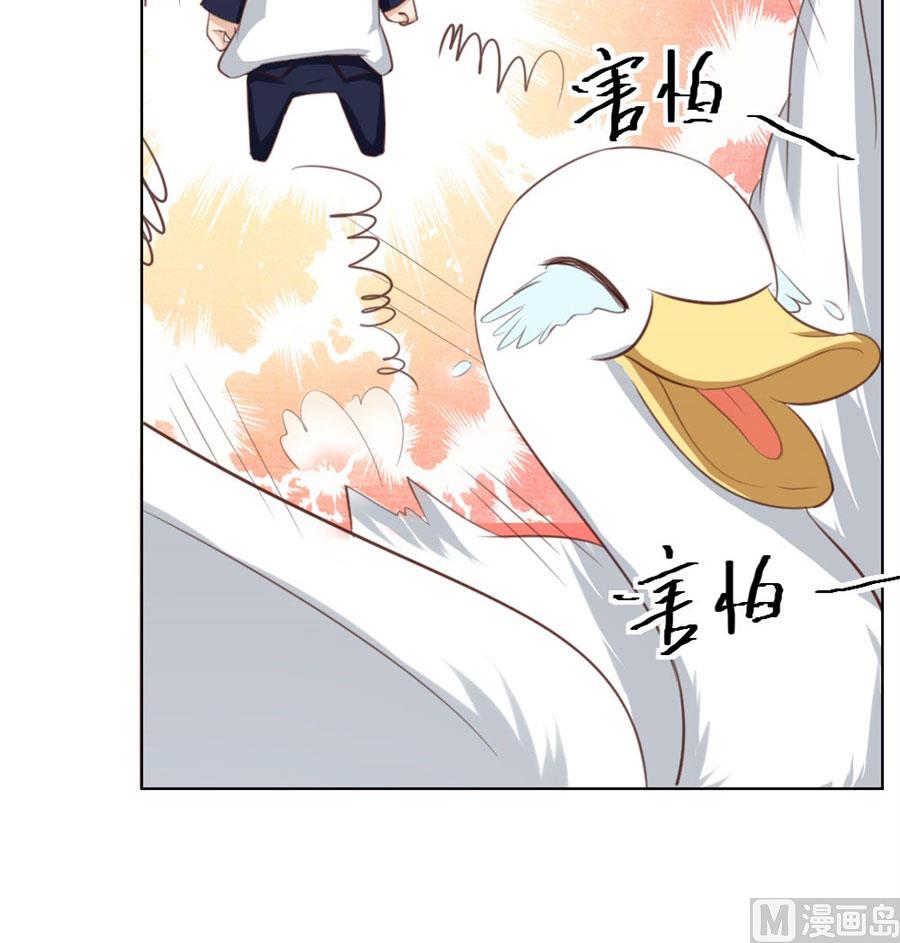 舍不得下来？-第31话