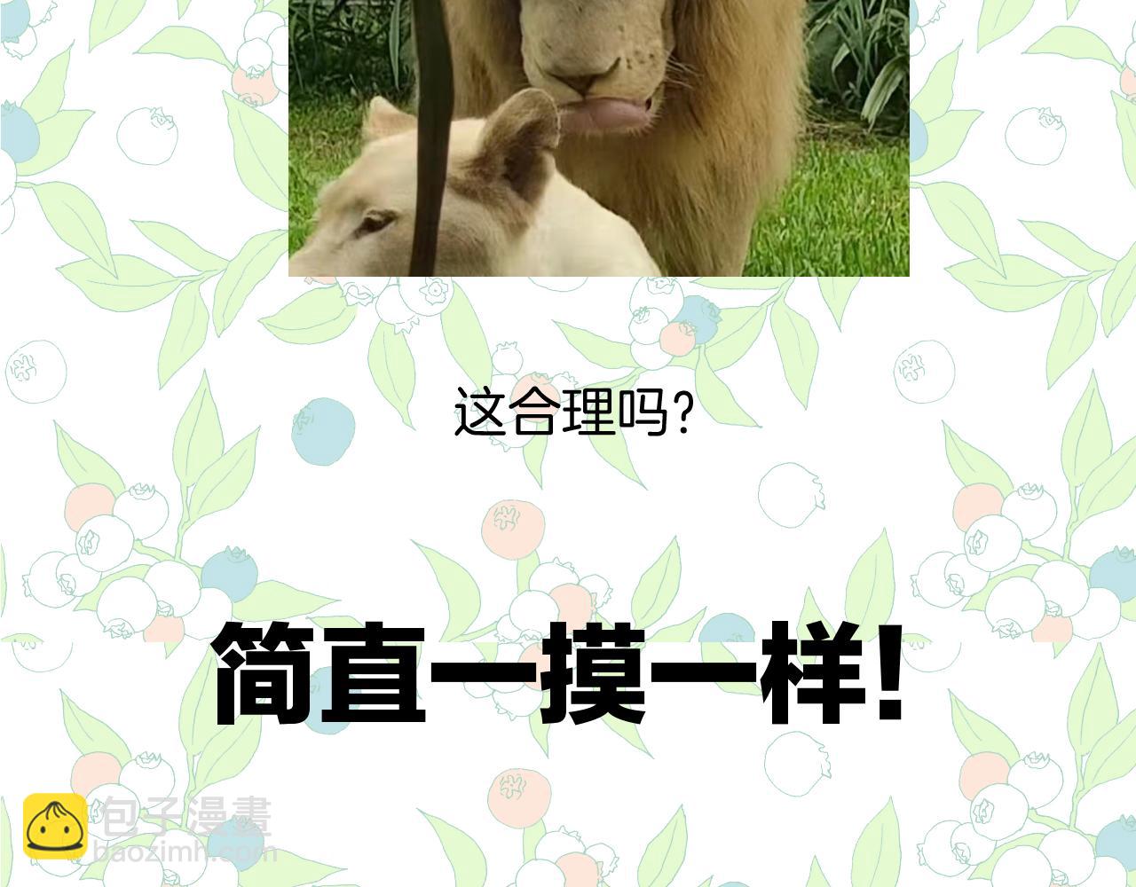 錯撩 - 休刊問答3 - 4