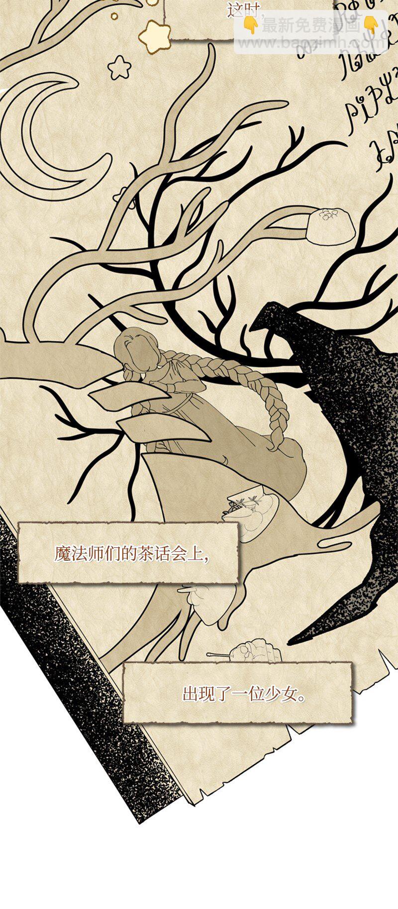20 魔法师的茶话会(1/2)-第21话