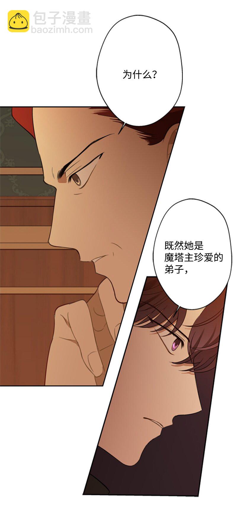 28 偷偷出府买小说(1/2)-第29话