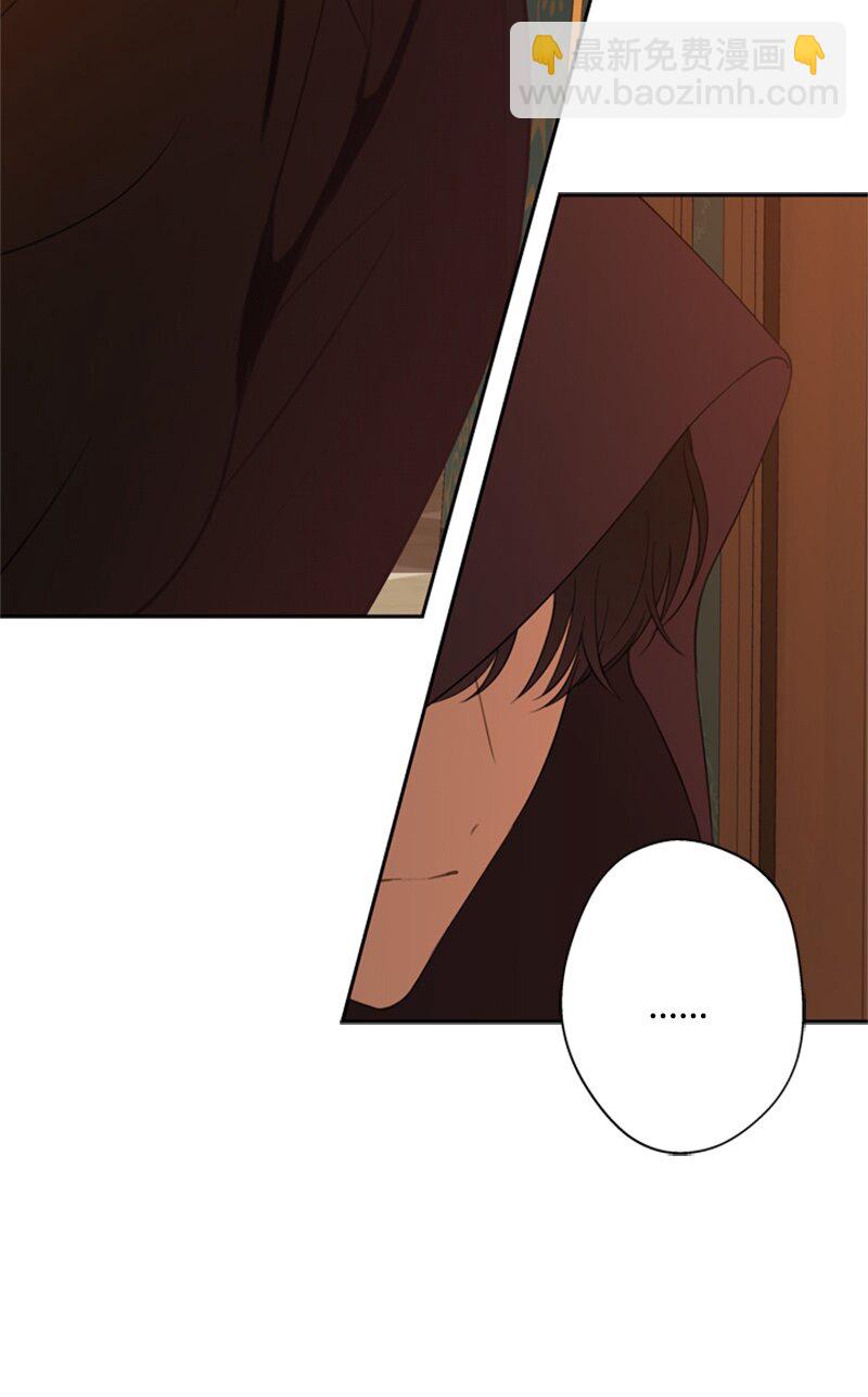 28 偷偷出府买小说(1/2)-第29话