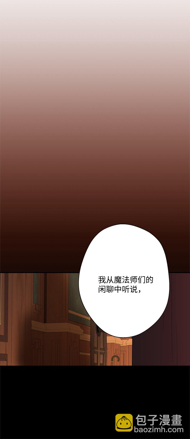 28 偷偷出府买小说(1/2)-第29话