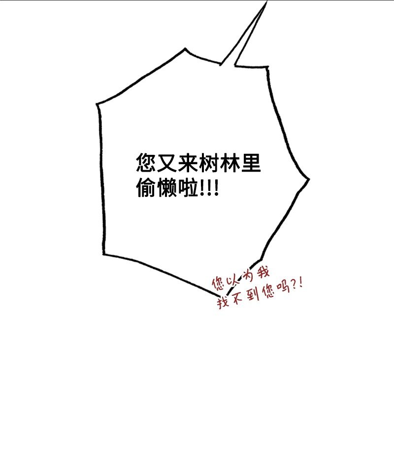 62 风雨交加的夜晚(1/3)-第63话