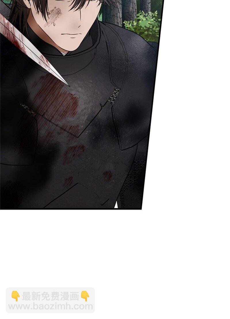 70 艰难的回宫之路(1/2)-第71话