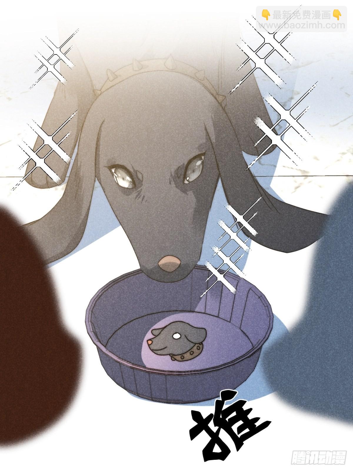 41.狐狗并一窝-第43话