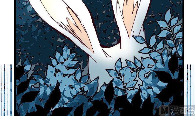 第2季 第35话 猎杀雪箭兔(1/2)-第165话