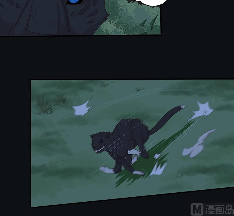 第28话 斗篷下的阴谋！-第33话