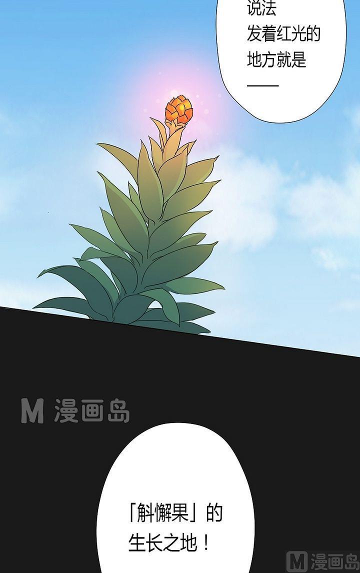 第40话 虎啸崖！-第45话