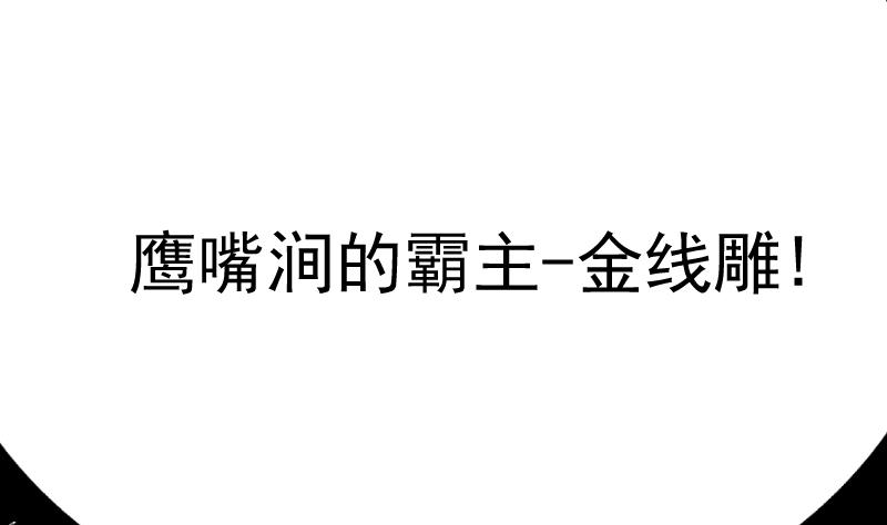 第21话 金线雕(1/2)-第23话