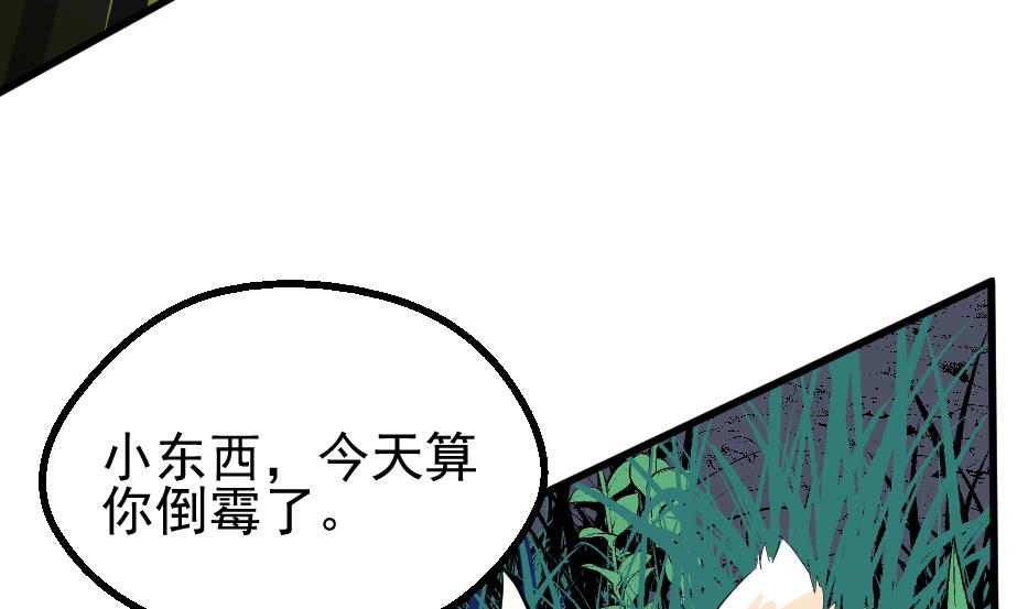 第35话 猎杀雪箭兔(1/2)-第37话