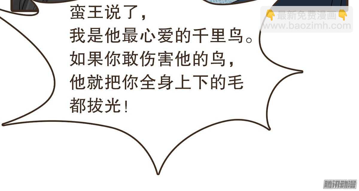 飞鸟传书(1/2)-第49话