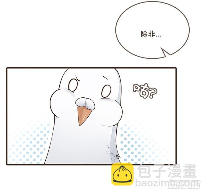 飞鸽传书-第7话