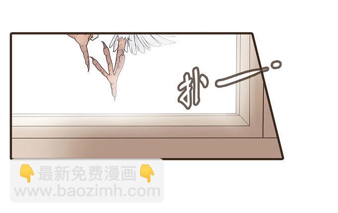 飞鸽传书-第7话