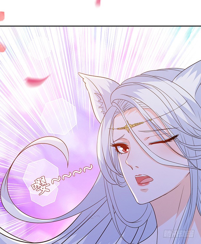 妲己不是壞狐狸 - 伯邑考現身(2/2) - 1