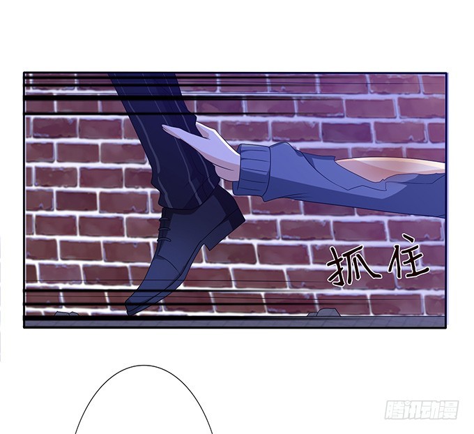 妲己不是壞狐狸 - 寵臣的合謀(1/2) - 1