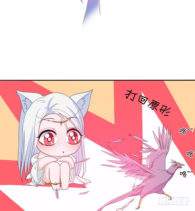 妲己不是壞狐狸 - 女人的戰爭(2/2) - 1