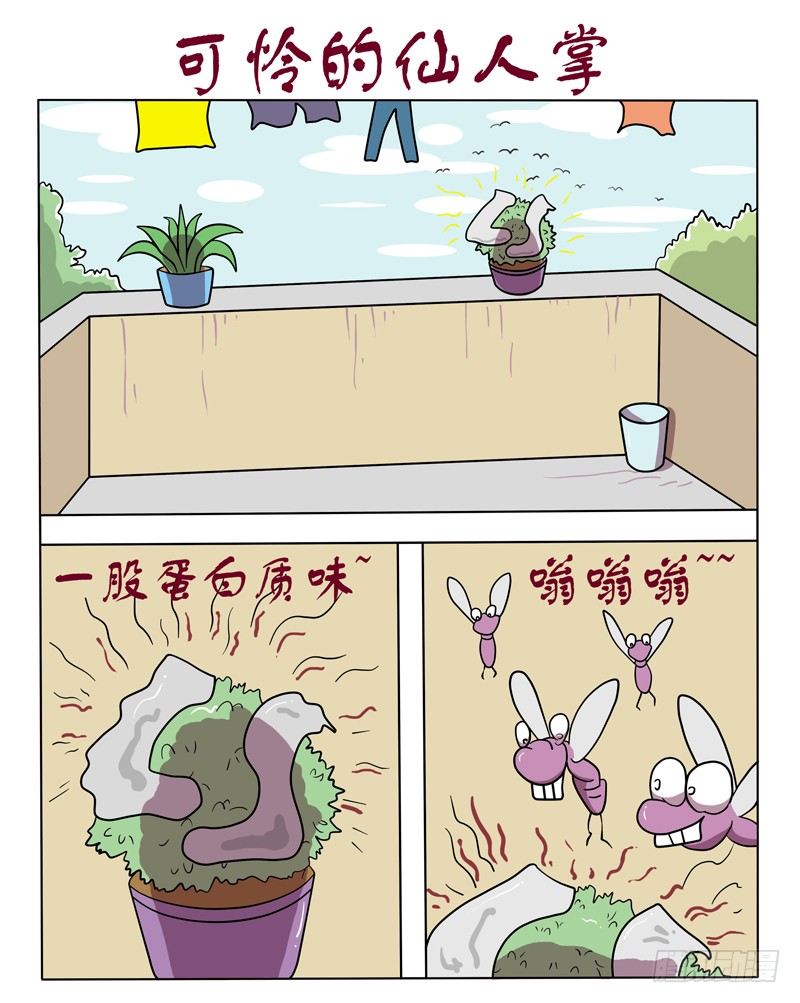 可怜的仙人掌-第23话