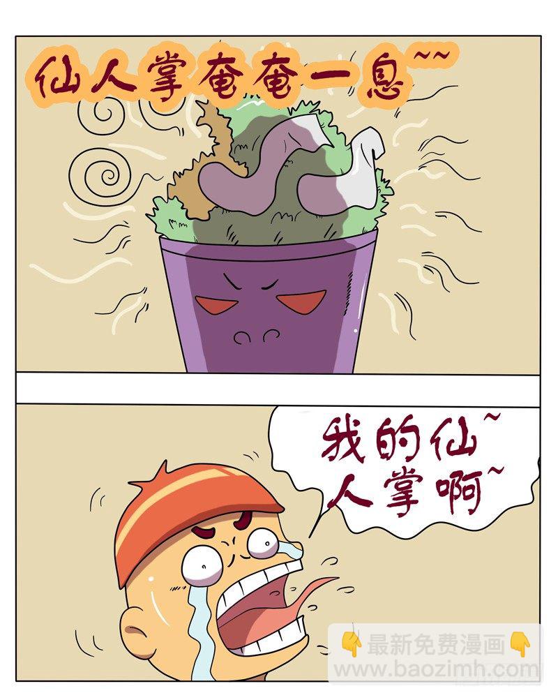 可怜的仙人掌-第23话