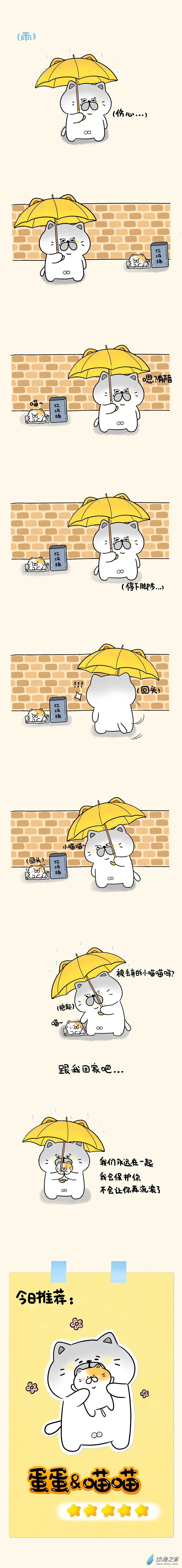 蛋蛋和喵喵 - 01 蛋蛋和喵喵 - 1