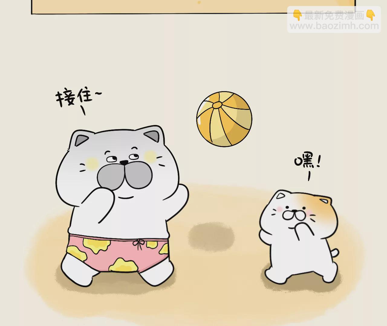 蛋蛋&喵喵 - 去海邊咯！ - 2